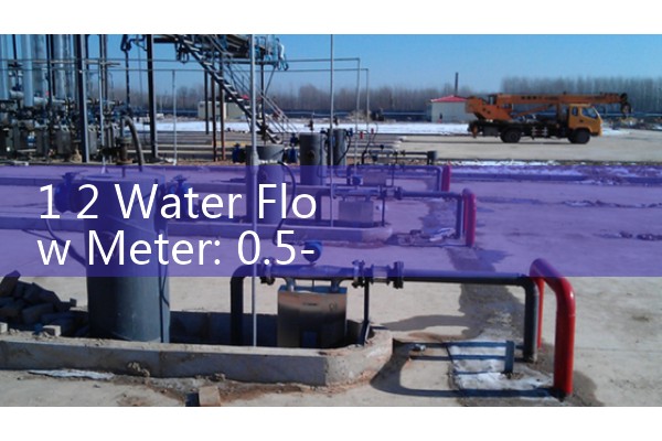 1 2 Water Flow Meter: 0.5-Inch In-line Digital LCD Volumetric Gauges